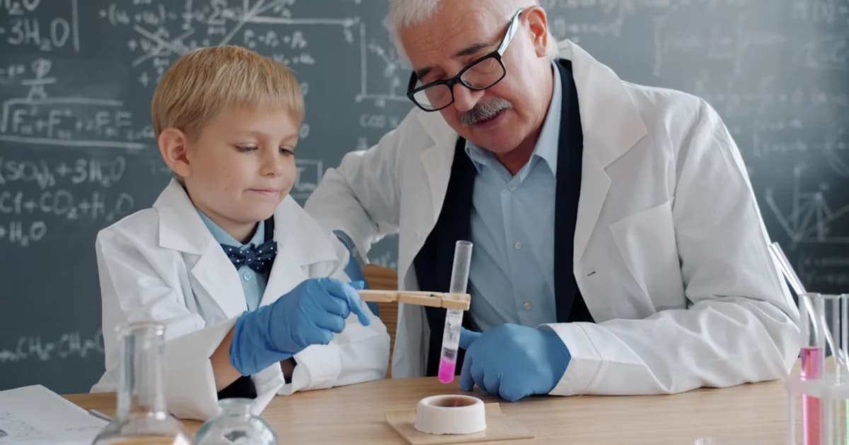 Orçamento Grátis de Redes de Proteção em Campo Grande MS