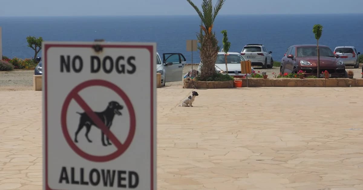 Redes de Proteção para Varandas com Plantas: Jardim Vertical Seguro