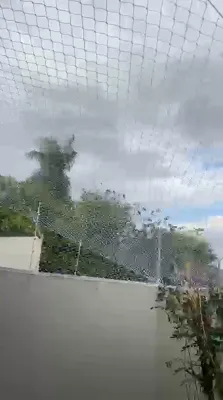 Vídeo real de cobertura de quintal todo com rede anti-fuga para gatos no Jardim Morenão em Campo Grande MS - UauTelas