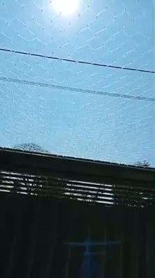 Vídeo detalhado do acabamento da rede de proteção 5x5 branca no teto na Vila Ieda - UauTelas