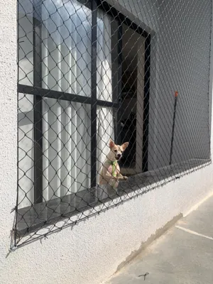 Visão interna da sacada com rede de proteção preta no Bairro Monte Castelo - UauTelas