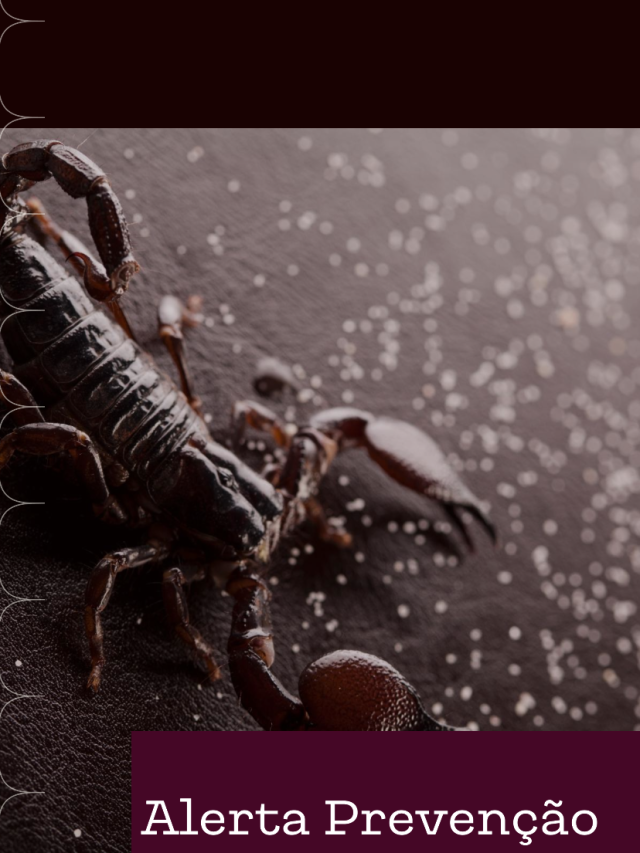 Summer Alert Increase in the Incidence of Scorpions Requires Extra Care (1)